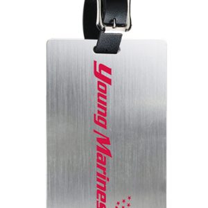 Brushed Aluminum Slip-In Pocket Luggage Tags